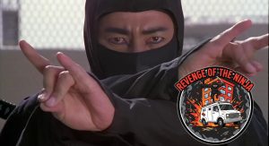 Revenge of the Ninja