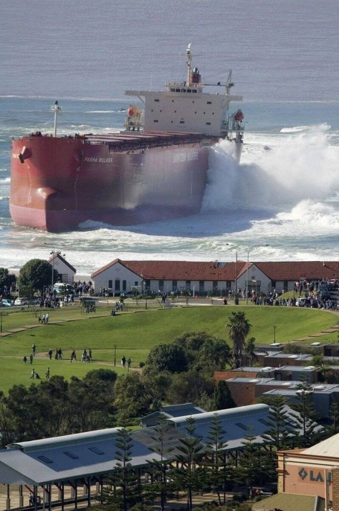 Pasha Bulker