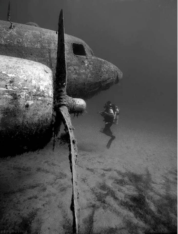 scuba diver