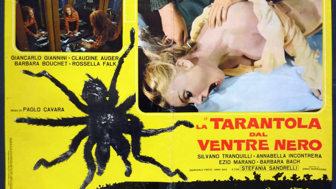 Black Belly of the Tarantula